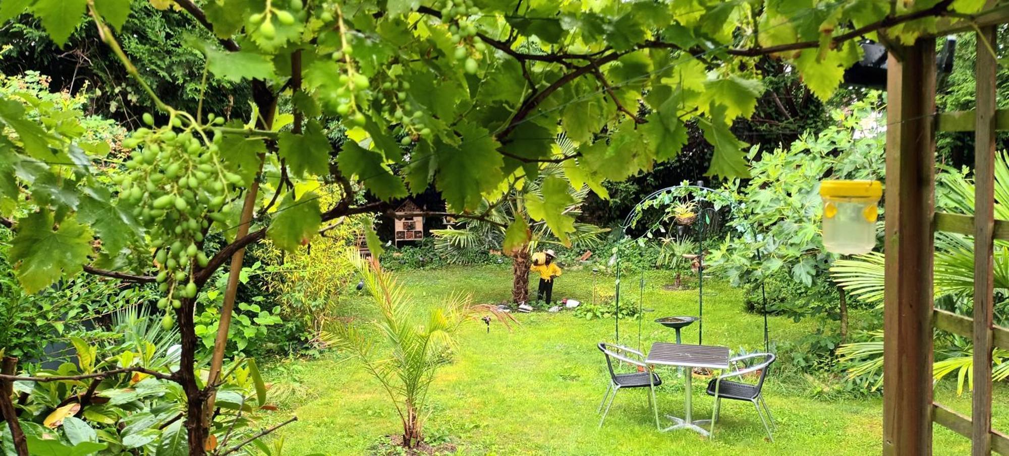 סן-ואלרי-סור-סום Gite Du Jardin Secret מראה חיצוני תמונה